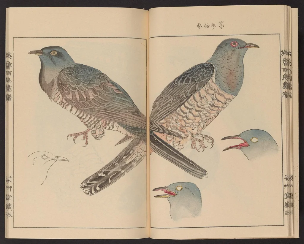 An illustration from Eishō hyakuchō gafu, 1913, leaf 15