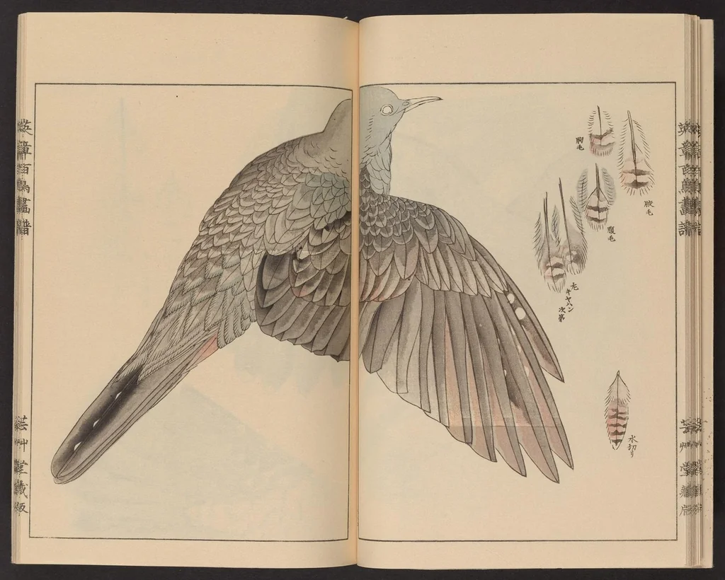 An illustration from Eishō hyakuchō gafu, 1913, leaf 17