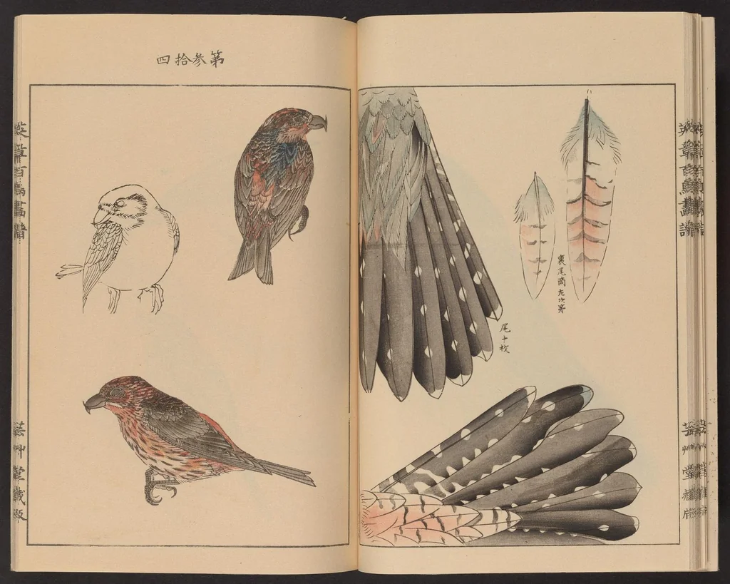 An illustration from Eishō hyakuchō gafu, 1913, leaf 18