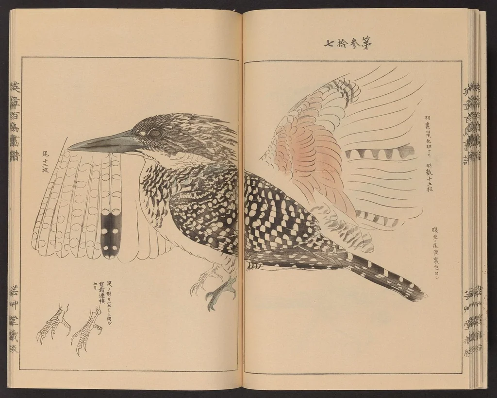 An illustration from Eishō hyakuchō gafu, 1913, leaf 20