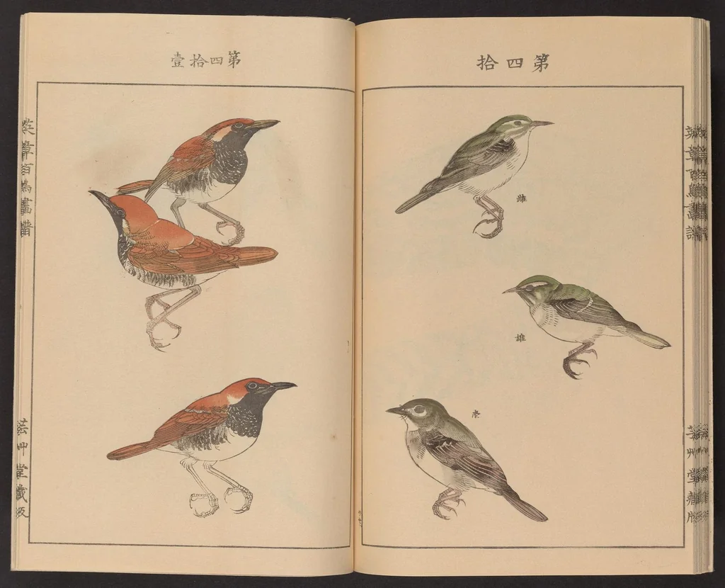 An illustration from Eishō hyakuchō gafu, 1913, leaf 24