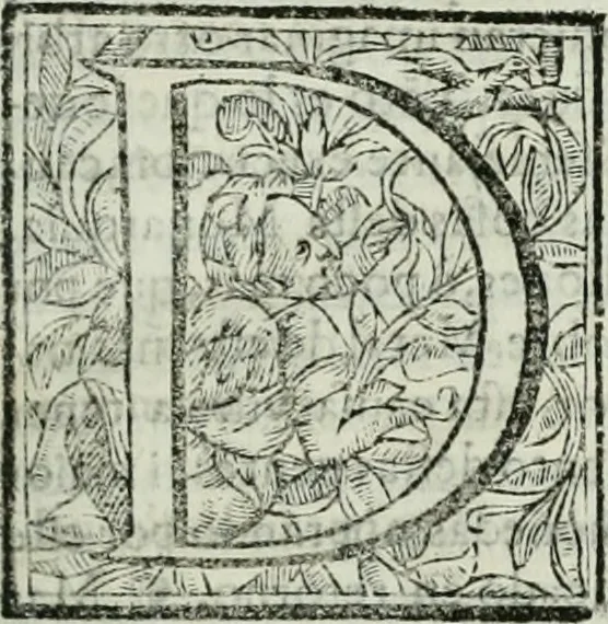 An illustration from [El] aivstamiento i proporcion de las monedas de oro, plata i cobre i la redvccion destos metales a sv debida estimacion, son regalia singvlar del rei de España i de las Indias, nvestro señor, que la es del oro i plata del orbe, 1629, leaf 14