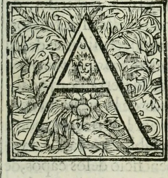 An illustration from [El] aivstamiento i proporcion de las monedas de oro, plata i cobre i la redvccion destos metales a sv debida estimacion, son regalia singvlar del rei de España i de las Indias, nvestro señor, que la es del oro i plata del orbe, 1629, leaf 26