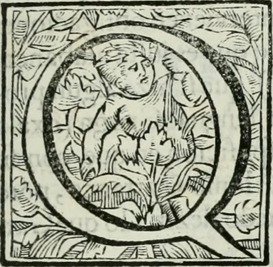An illustration from [El] aivstamiento i proporcion de las monedas de oro, plata i cobre i la redvccion destos metales a sv debida estimacion, son regalia singvlar del rei de España i de las Indias, nvestro señor, que la es del oro i plata del orbe, 1629, leaf 8