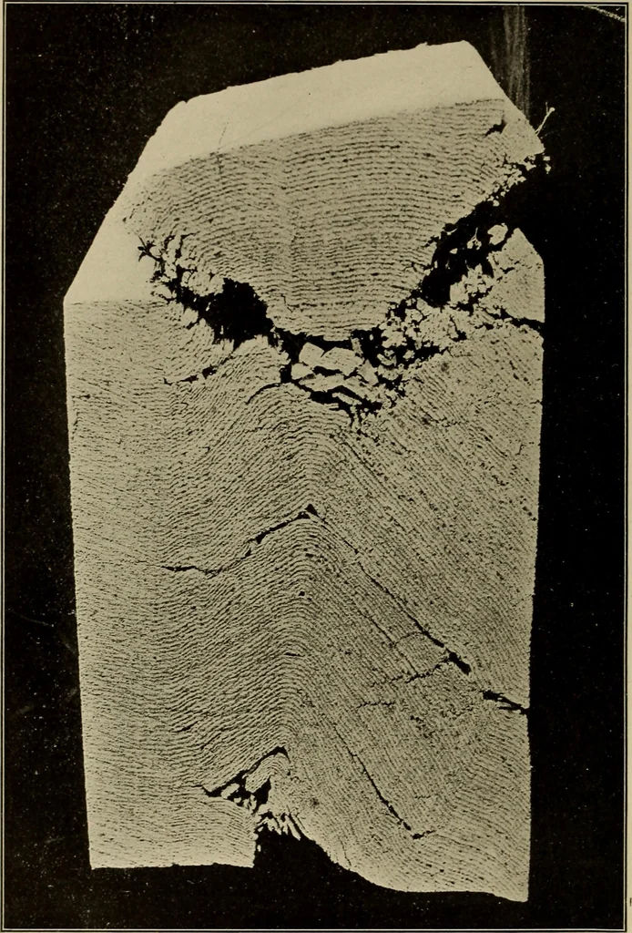 An illustration from The elasticity and resistance of the materials of engineering, 1915, leaf 477