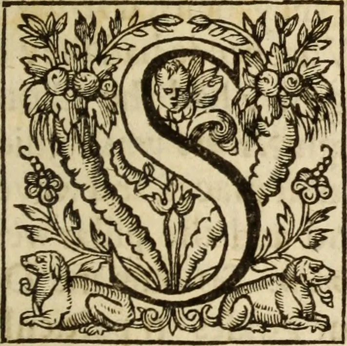An illustration from An exposition of the lawes of Moses : viz., morall, ceremoniall, iudiciall ... the second volume .., 1632, leaf 334