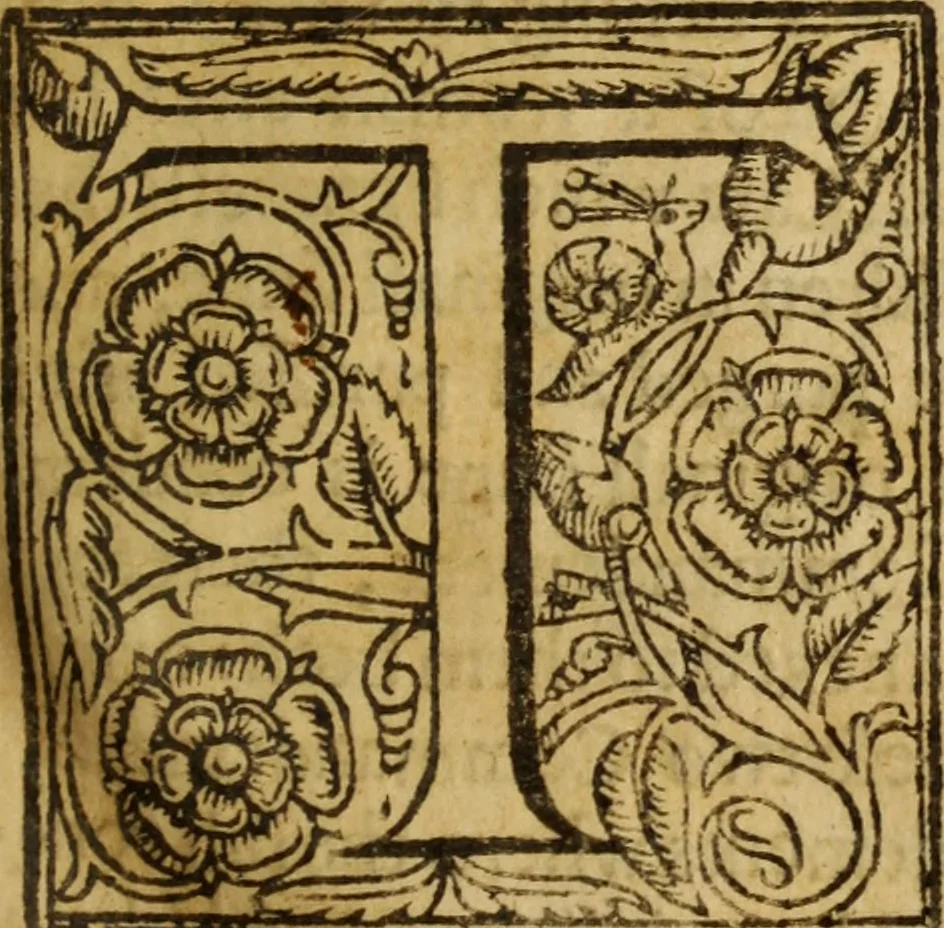 An illustration from An exposition of the lawes of Moses : viz., morall, ceremoniall, iudiciall ... the second volume .., 1632, leaf 40