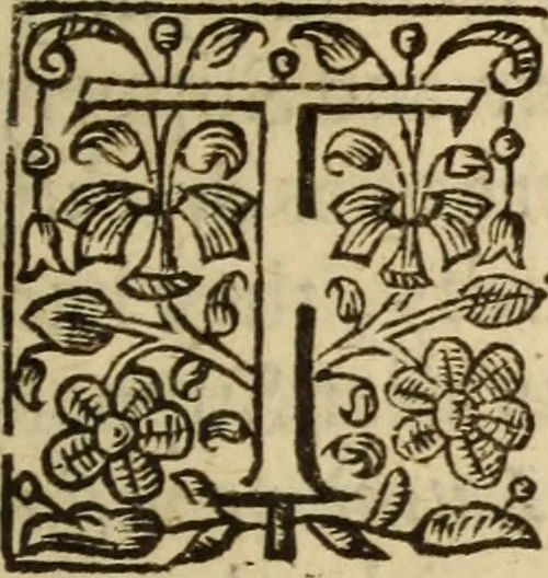 An illustration from An exposition of the lawes of Moses : viz., morall, ceremoniall, iudiciall ... the second volume .., 1632, leaf 510