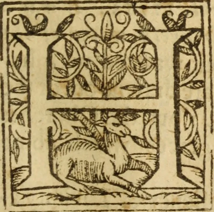 An illustration from An exposition of the lawes of Moses : viz., morall, ceremoniall, iudiciall ... the second volume .., 1632, leaf 590