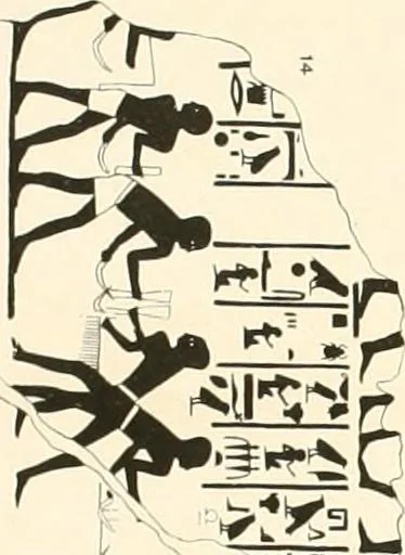 An illustration from El Bersheh, 1893, leaf 98