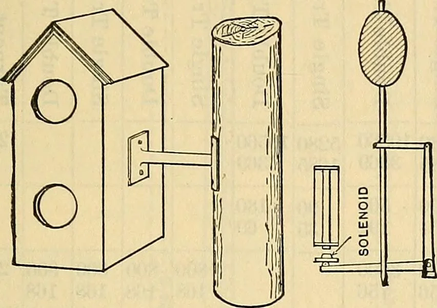 An illustration from Electrical engineer's pocket-book: a hand-book of useful data for electricians and electrical engineers, 1901, leaf 448