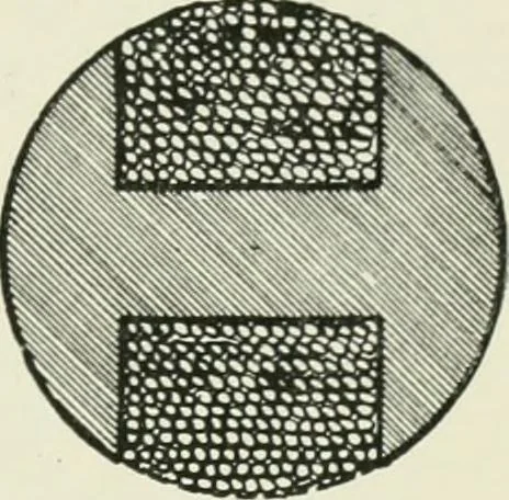 An illustration from Electrical installations of electric light, power, traction and industrial electrical machinery, 1902, leaf 126