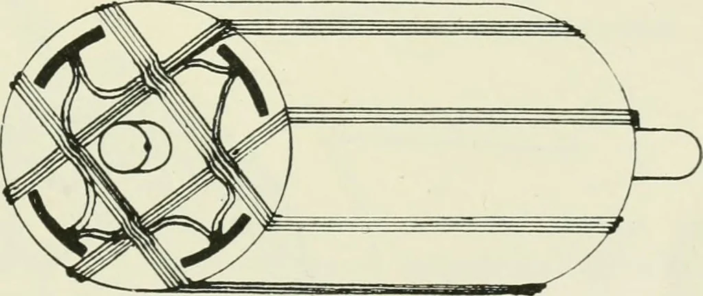 An illustration from Electrical installations of electric light, power, traction and industrial electrical machinery, 1902, leaf 126