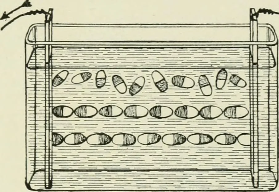 An illustration from Electrical installations of electric light, power, traction and industrial electrical machinery, 1902, leaf 172