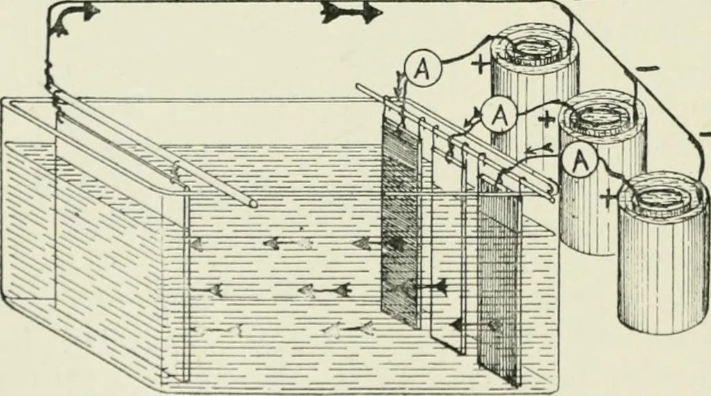 An illustration from Electrical installations of electric light, power, traction and industrial electrical machinery, 1902, leaf 181