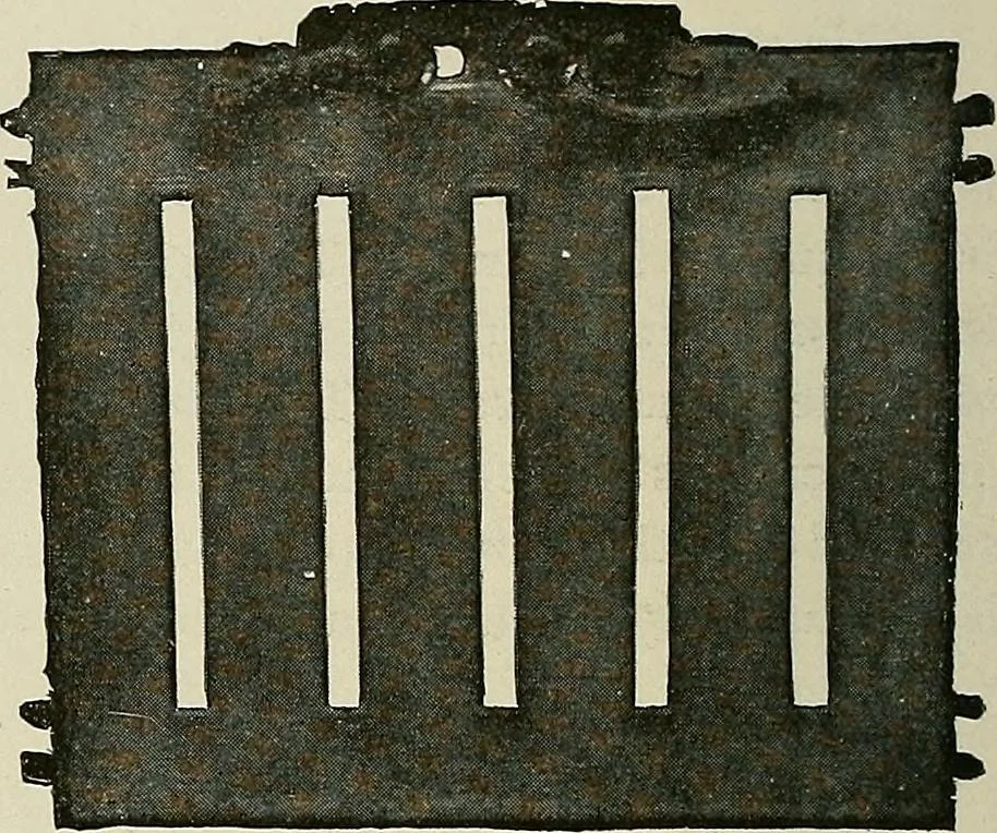 An illustration from Electrical novelties : the ultra vacuum electrodes, X-ray tubes and stands, the multiple spark interrupter, spark lamp to produce violet rays, spark regulator for coil, electric heaters, X-ray plates, 1903, leaf 14