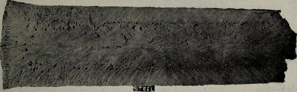 An illustration from Electric catalogue no. 010, 1916, leaf 11