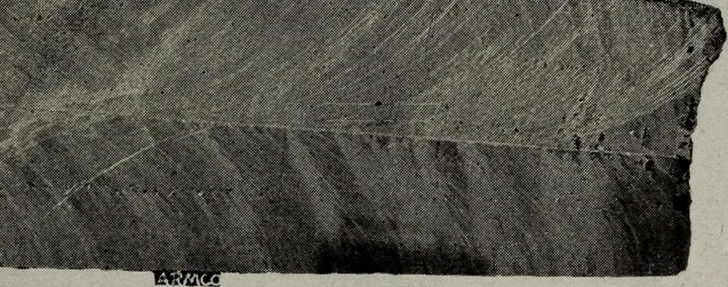 An illustration from Electric catalogue no. 010, 1916, leaf 11