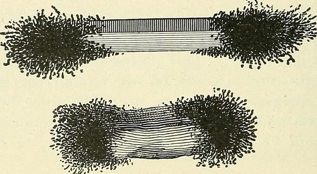 An illustration from [Electric engineering.], 1902, leaf 84