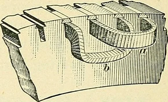 An illustration from [Electric engineering.], 1902, leaf 405