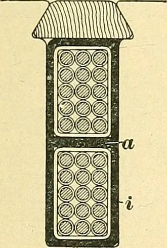 An illustration from [Electric engineering.], 1902, leaf 410