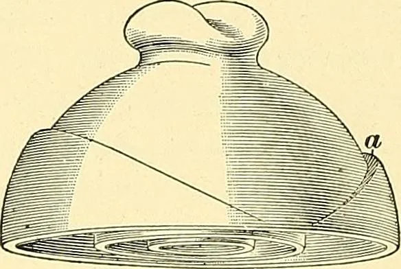 An illustration from [Electric engineering.], 1902, leaf 122
