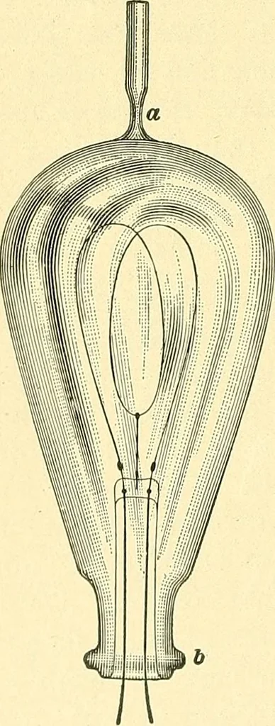 An illustration from [Electric engineering.], 1902, leaf 206