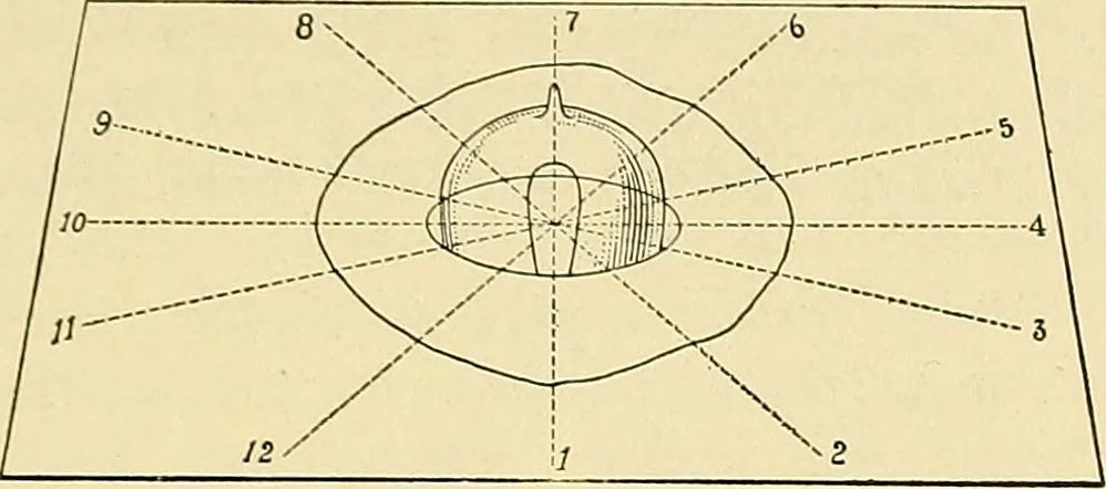 An illustration from [Electric engineering.], 1902, leaf 221