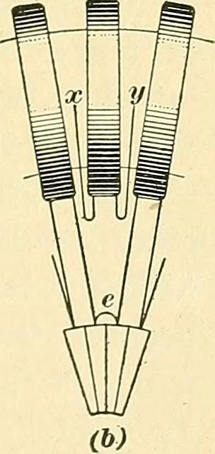 An illustration from [Electric engineering.], 1902, leaf 495