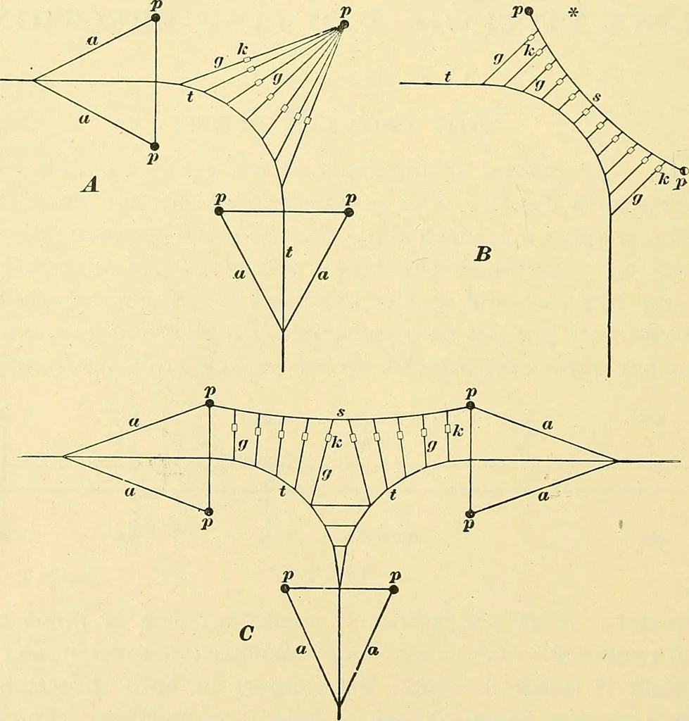 An illustration from [Electric engineering.], 1902, leaf 221