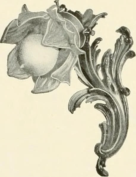 An illustration from Electric fixtures & glassware : F & G section, 13th ed., 1911, leaf 143