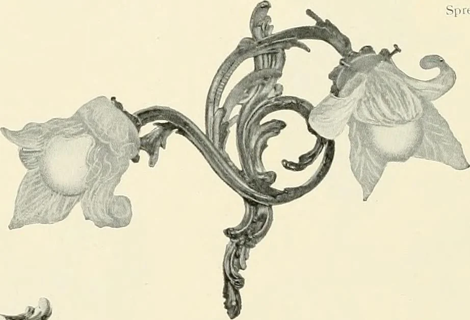 An illustration from Electric fixtures & glassware : F & G section, 13th ed., 1911, leaf 143