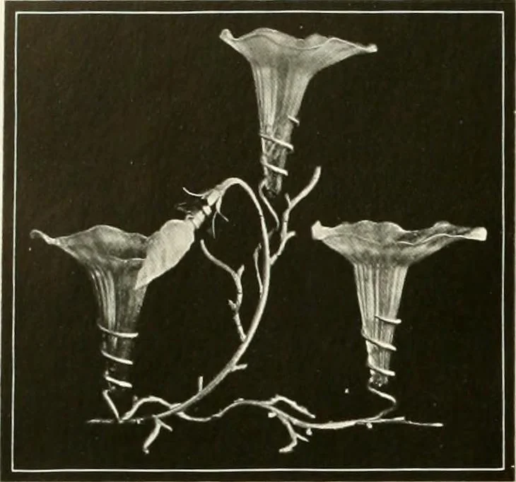An illustration from Electric fixtures & glassware : F & G section, 13th ed., 1911, leaf 253