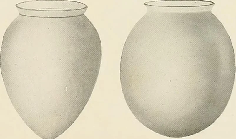 An illustration from Electric fixtures & glassware : F & G section, 13th ed., 1911, leaf 294