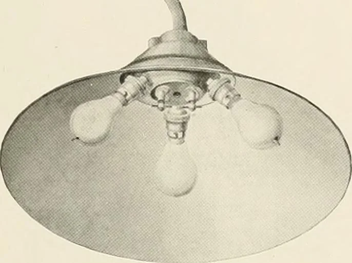 An illustration from Electric fixtures & glassware : F & G section, 13th ed., 1911, leaf 50