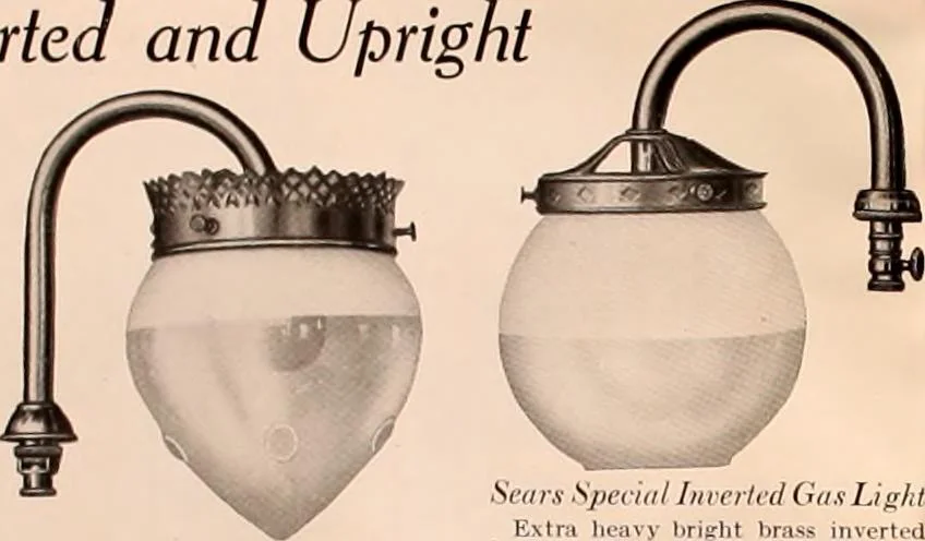 An illustration from Electric, gas, and combination lighting fixtures : table lamps, floor lamps, electrical wiring material, lighting glassware / Sears, Roebuck and Co., 1900, leaf 100