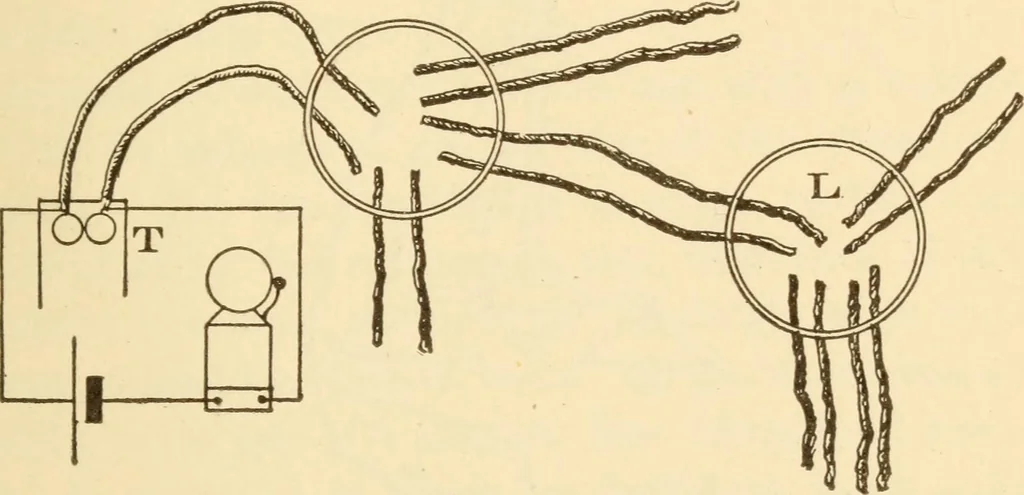 An illustration from Electricians' operating and testing manual;, 1910, leaf 285