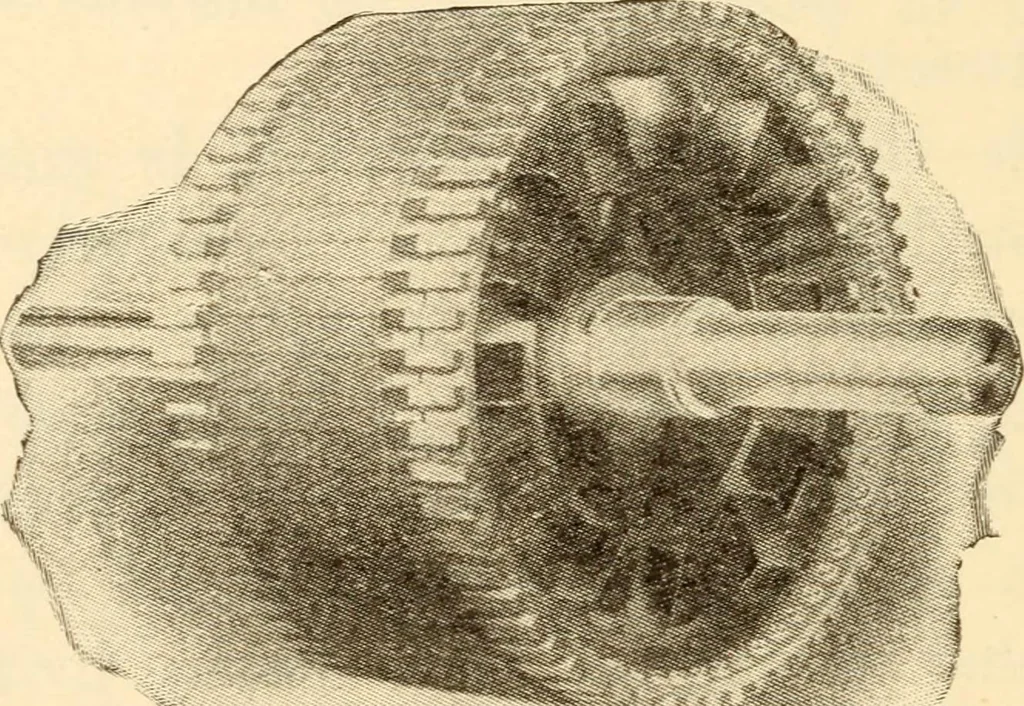 An illustration from Electricians' operating and testing manual;, 1910, leaf 96