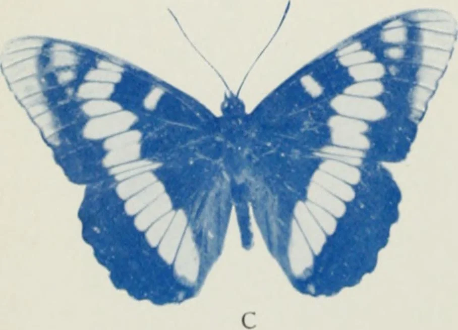 An illustration from Flame, electricity and the camera; man's progress from the first kindling of fire to the wireless telegraph and the photography of color, 1900, leaf 11