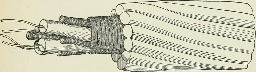 An illustration from Flame, electricity and the camera; man's progress from the first kindling of fire to the wireless telegraph and the photography of color, 1900, leaf 234