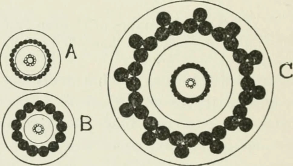 An illustration from Flame, electricity and the camera; man's progress from the first kindling of fire to the wireless telegraph and the photography of color, 1900, leaf 241