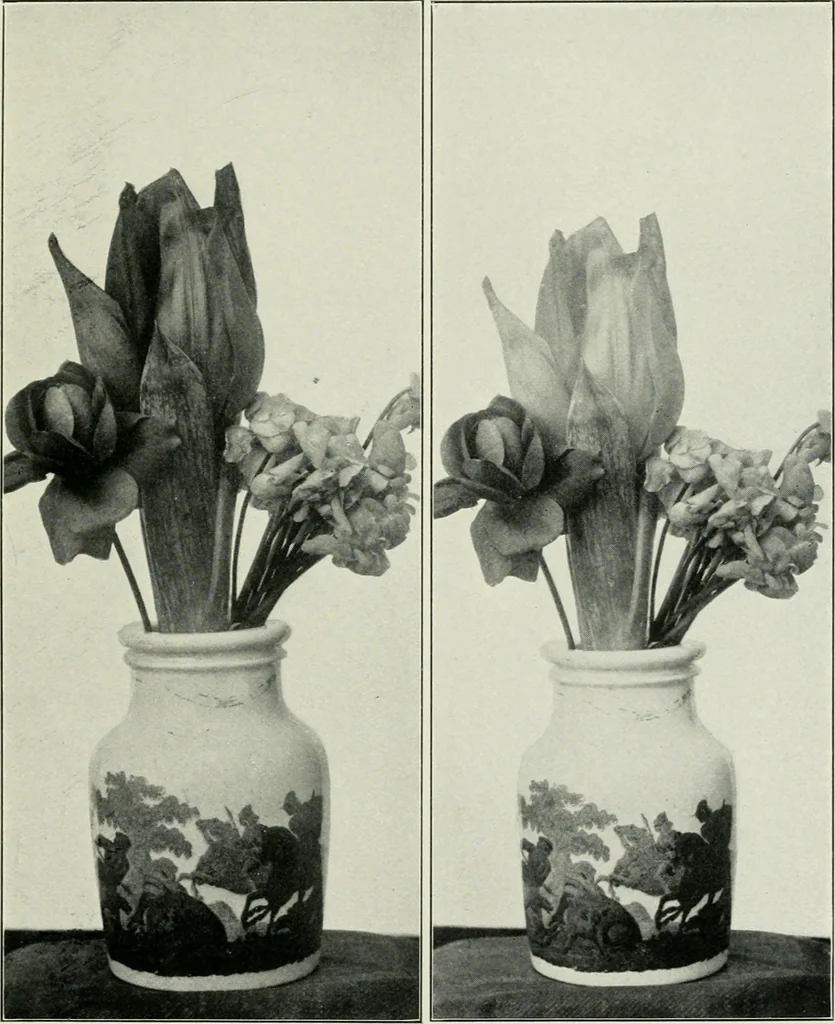 An illustration from Flame, electricity and the camera; man's progress from the first kindling of fire to the wireless telegraph and the photography of color, 1900, leaf 332