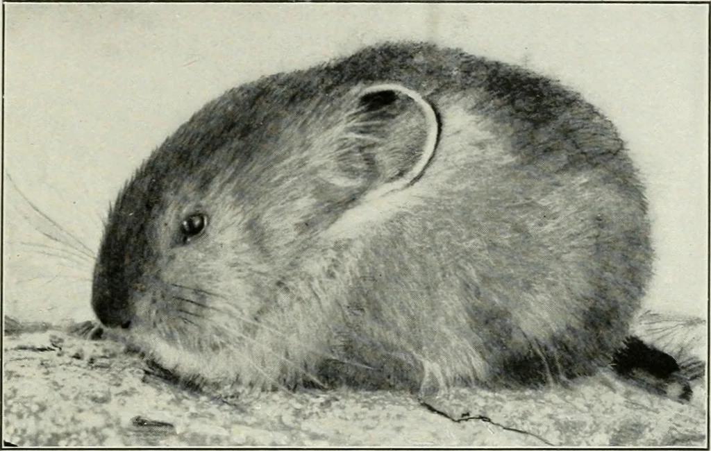 An illustration from Flame, electricity and the camera; man's progress from the first kindling of fire to the wireless telegraph and the photography of color, 1900, leaf 354