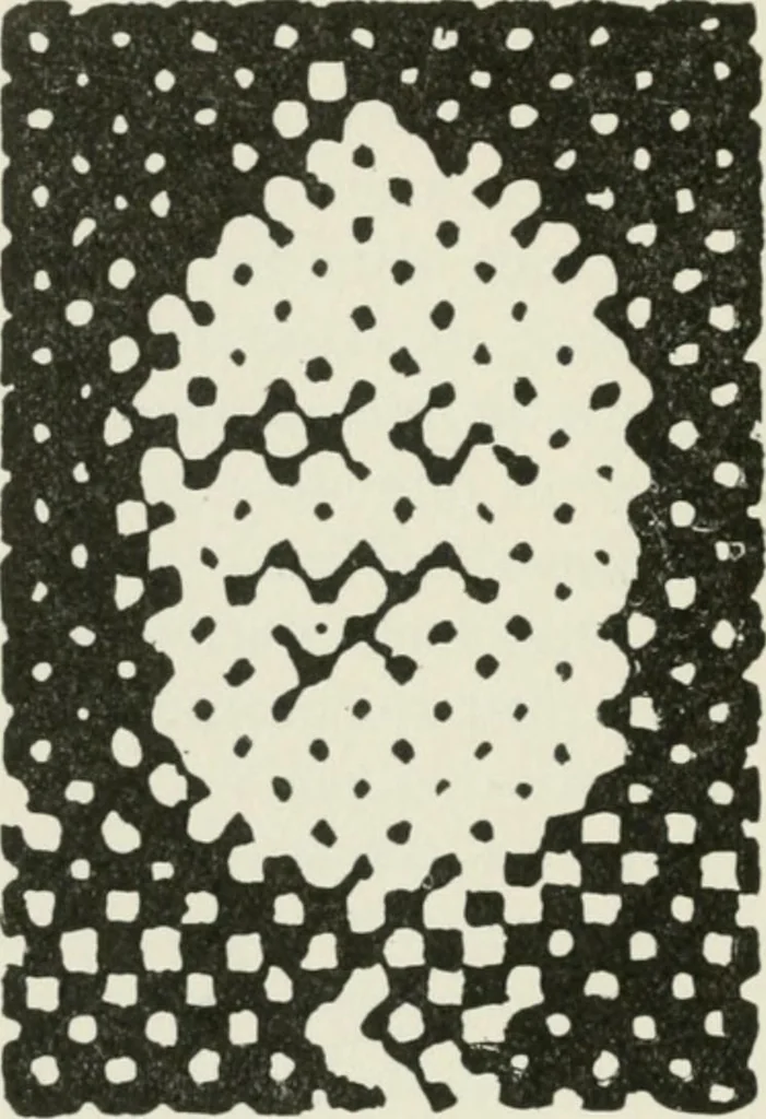 An illustration from Flame, electricity and the camera; man's progress from the first kindling of fire to the wireless telegraph and the photography of color, 1900, leaf 387