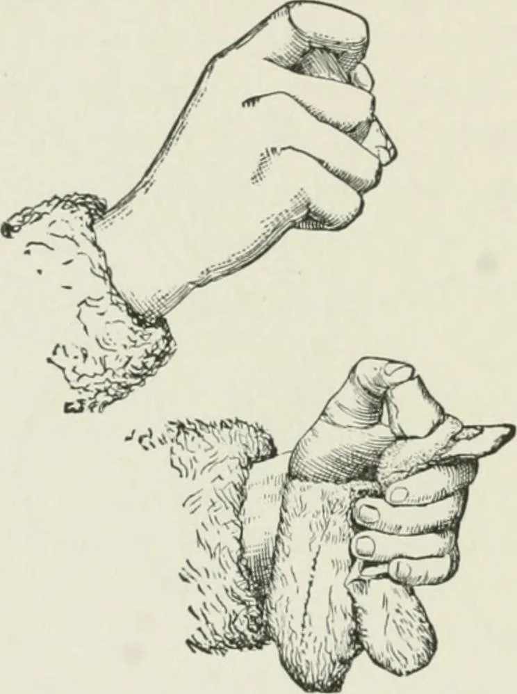 An illustration from Flame, electricity and the camera; man's progress from the first kindling of fire to the wireless telegraph and the photography of color, 1900, leaf 43