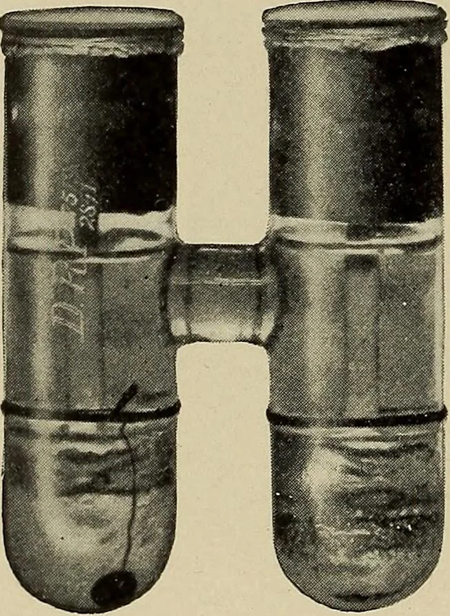 An illustration from Electricity experimentally and practically applied; a book for the beginner and for the practical man, principles, experiments, practical applications and problems, 1910, leaf 90