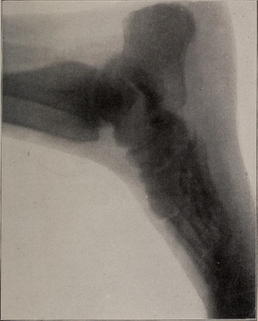 An illustration from Electricity for everybody;, 1907, leaf 264