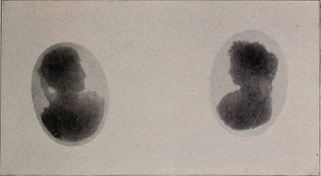 An illustration from Electricity for everybody;, 1907, leaf 268