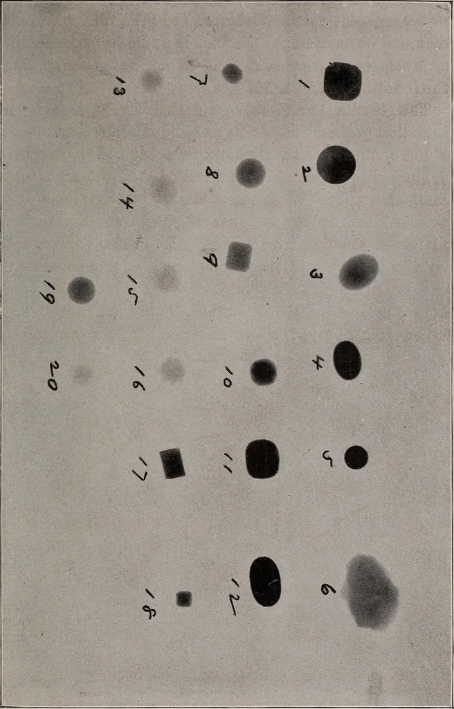 An illustration from Electricity for everybody;, 1907, leaf 274