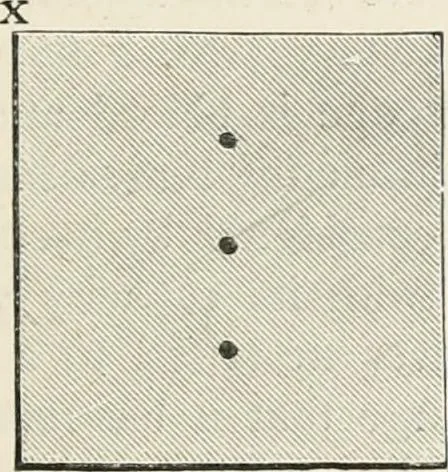 An illustration from Electricity for public schools and colleges, 1891, leaf 124